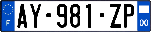 AY-981-ZP