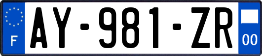 AY-981-ZR