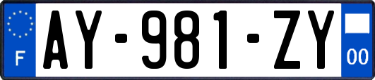 AY-981-ZY
