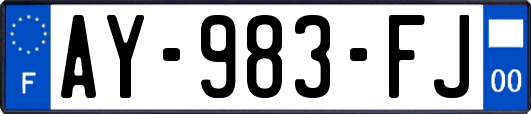 AY-983-FJ