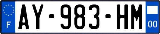 AY-983-HM