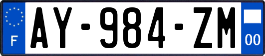 AY-984-ZM