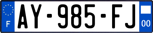 AY-985-FJ