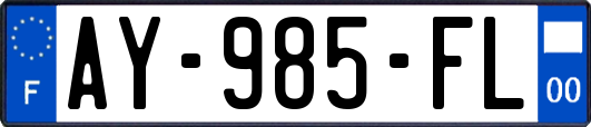 AY-985-FL