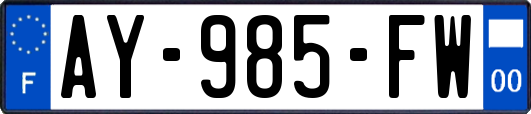 AY-985-FW