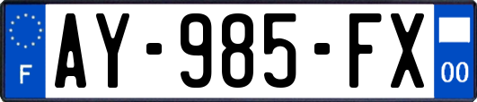AY-985-FX