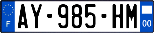 AY-985-HM