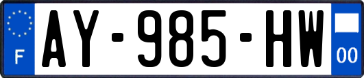 AY-985-HW