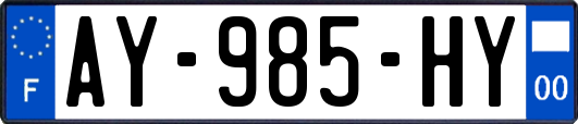 AY-985-HY