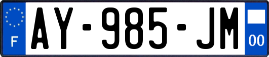 AY-985-JM