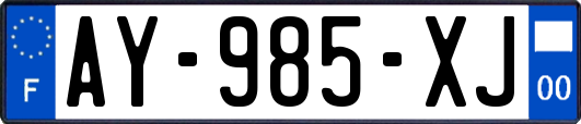 AY-985-XJ