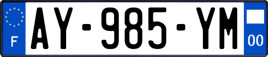 AY-985-YM