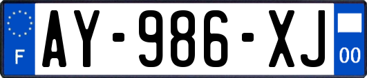 AY-986-XJ