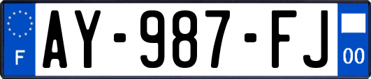 AY-987-FJ