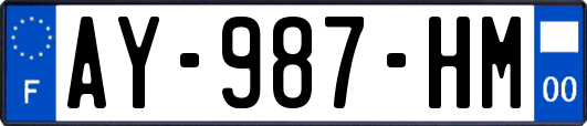AY-987-HM