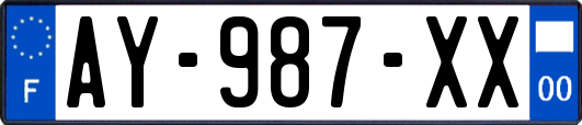AY-987-XX