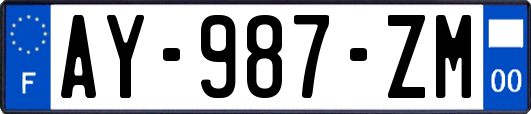 AY-987-ZM