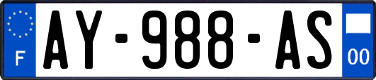 AY-988-AS