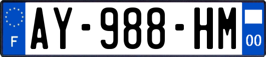 AY-988-HM