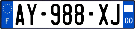 AY-988-XJ