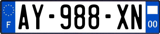 AY-988-XN