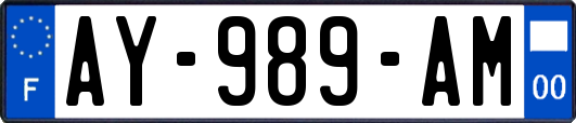 AY-989-AM