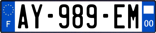 AY-989-EM
