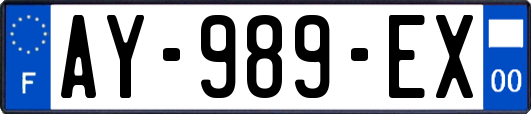AY-989-EX