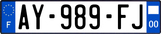AY-989-FJ