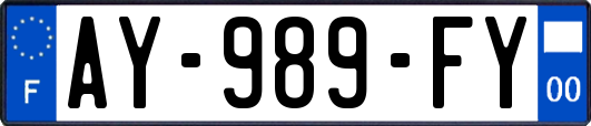 AY-989-FY