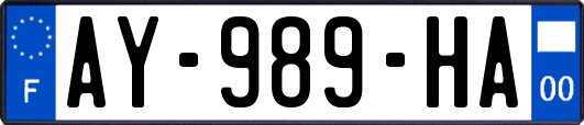 AY-989-HA