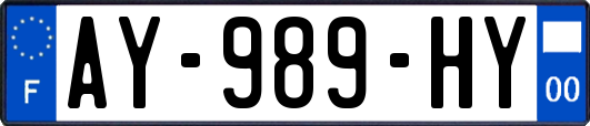 AY-989-HY