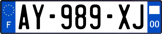 AY-989-XJ