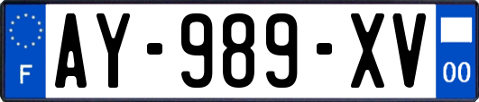 AY-989-XV