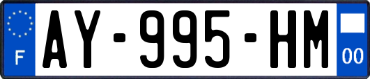 AY-995-HM