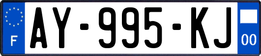 AY-995-KJ