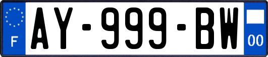 AY-999-BW