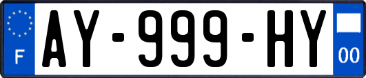 AY-999-HY