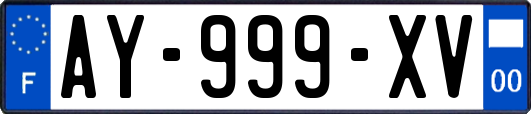 AY-999-XV