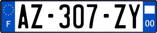 AZ-307-ZY