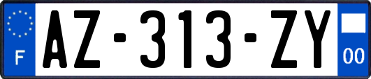 AZ-313-ZY