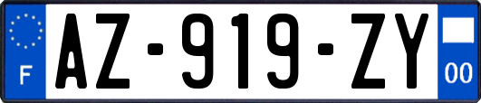 AZ-919-ZY