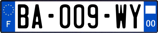 BA-009-WY