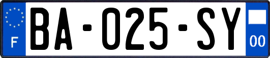 BA-025-SY