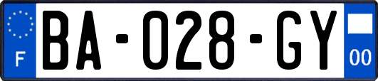 BA-028-GY