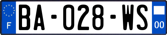 BA-028-WS