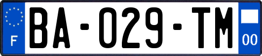 BA-029-TM