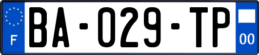 BA-029-TP