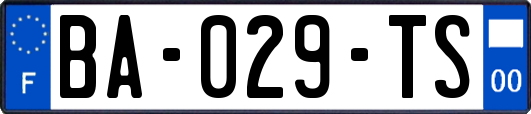 BA-029-TS