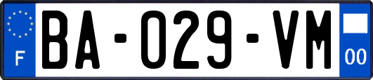 BA-029-VM
